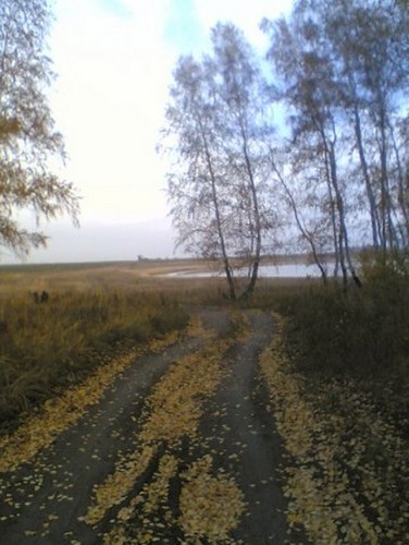 мир зеленого безмолвия