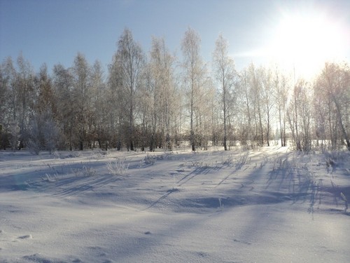Снежный пейзаж