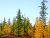 Красота северного пейзажа