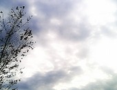 небо