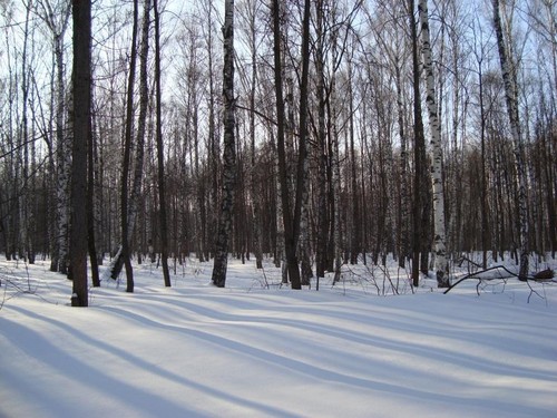Зимний день