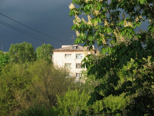 Перед грозой
