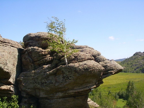 Алтай. Саввушки.