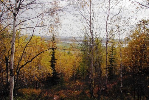 Краски осени