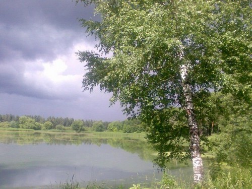Во поле береза стояла...
