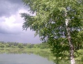 Во поле береза стояла...