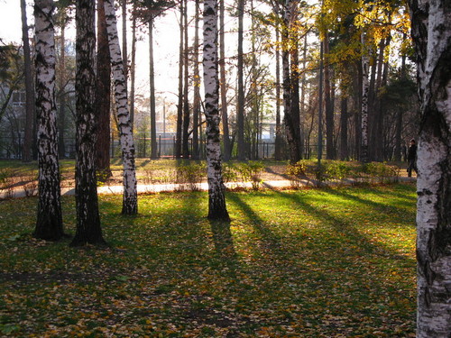 Осенний парк