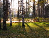 Осенний парк