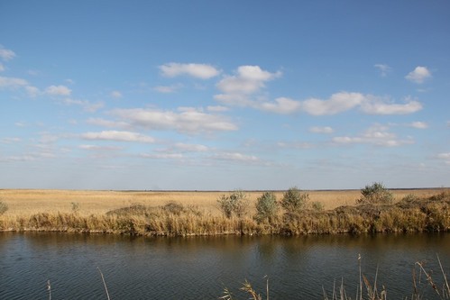 По ту сторону реки