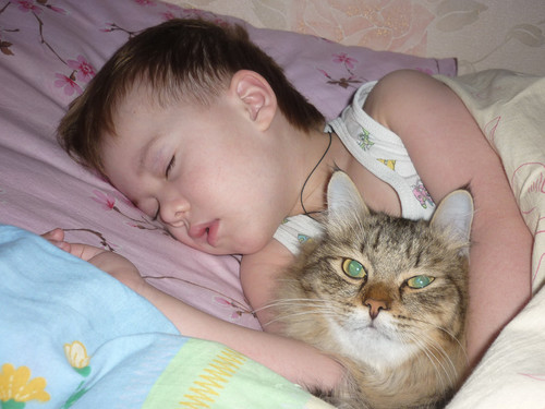 Егор и кот*