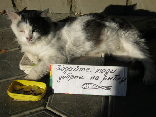 без комментариев