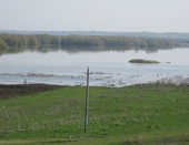 луга