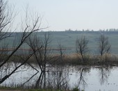 разлив