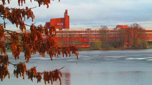 Без коментариев