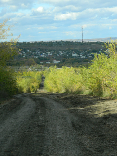 Сказочная дорога