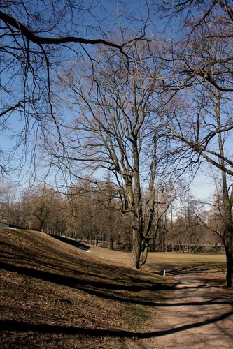 Дорожка в старинном парке