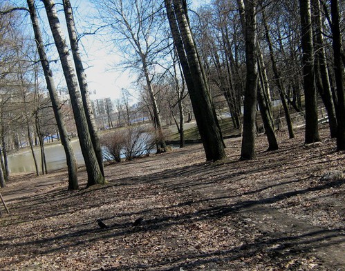 дорожка