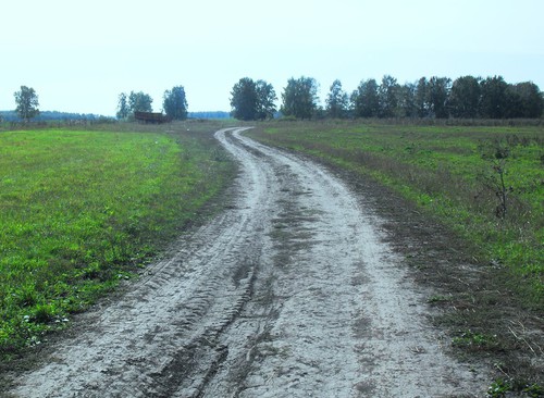 среди полей широких