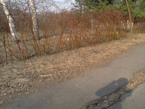 В зените солнца
