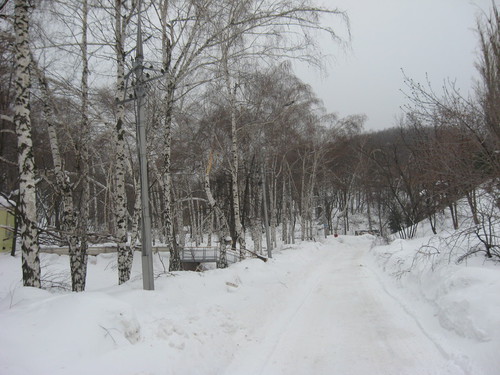 Моя беговая дорога зимой.