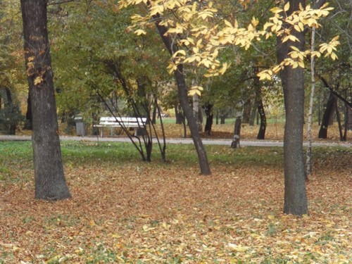 Осень