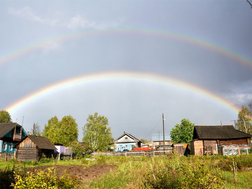 После грибного дождя