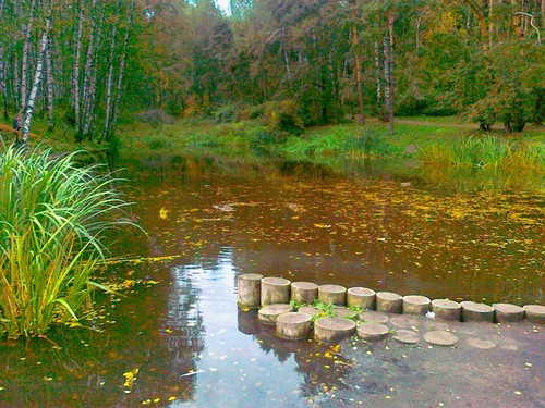 Гармония