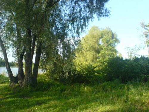 Природа