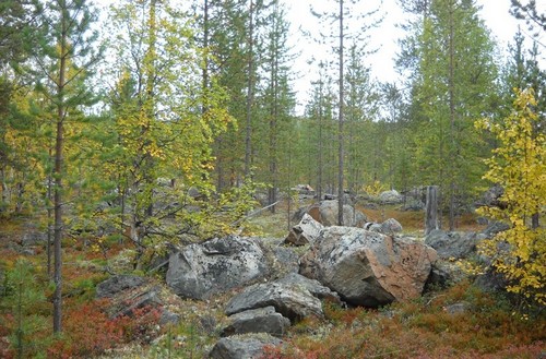 осень в заполярье