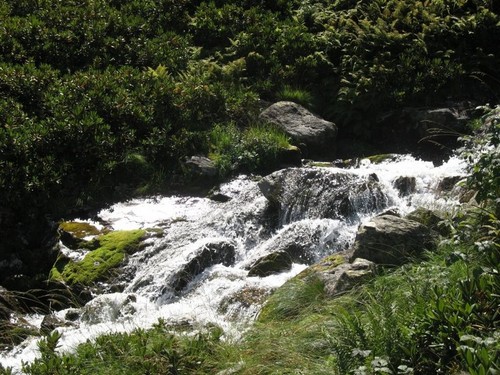 То ли снег, то ли вода...