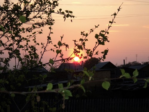 В родном краю