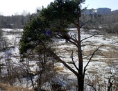 В предверии лета